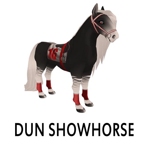 DunShowhorse1