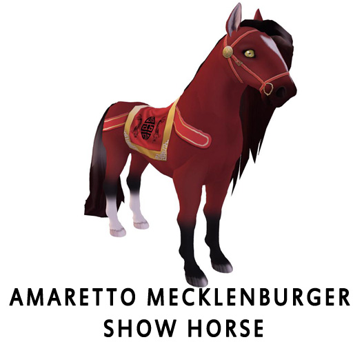 Amaretto Mecklenburger Show Horse2