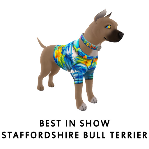 BISStaffordshire_Bull_Terrier
