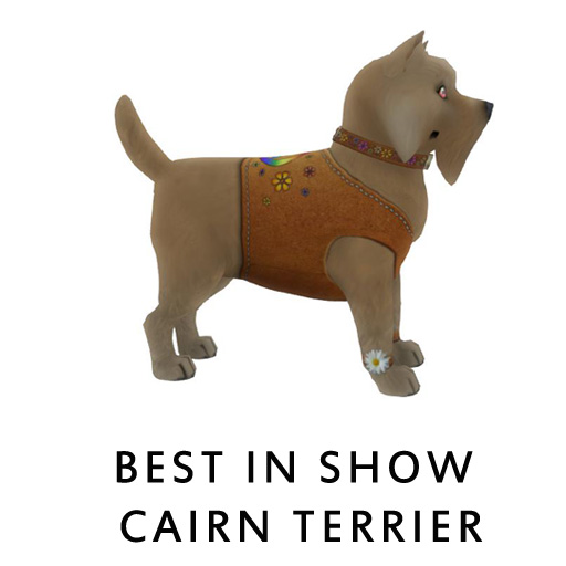 Best_in_Show_Cairn_Terrier1a