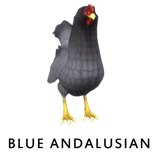 BlueAndalusian1