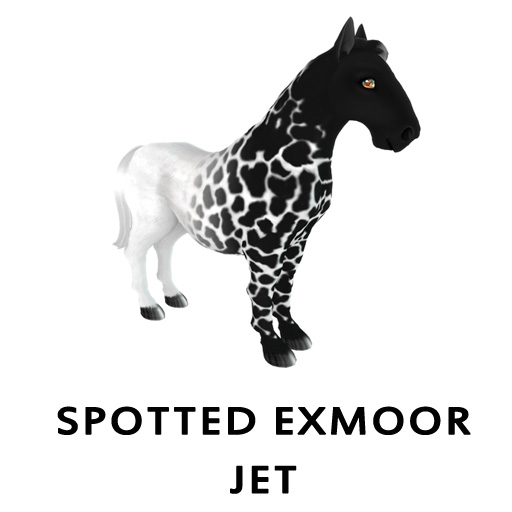 Spotted ExmoorJet