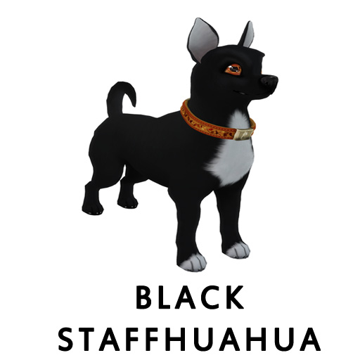 Black Staffhuahua