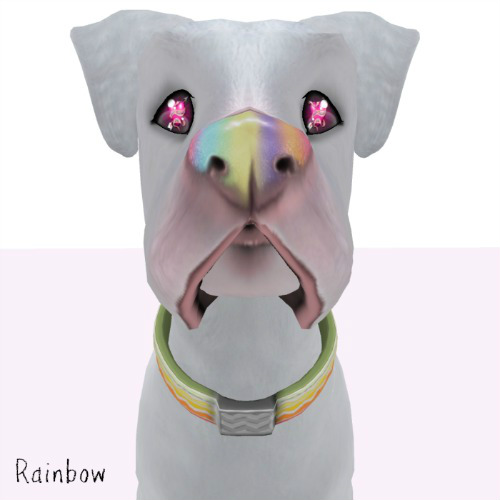 Rainbow Nose