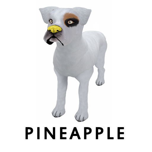 Pineapplenose