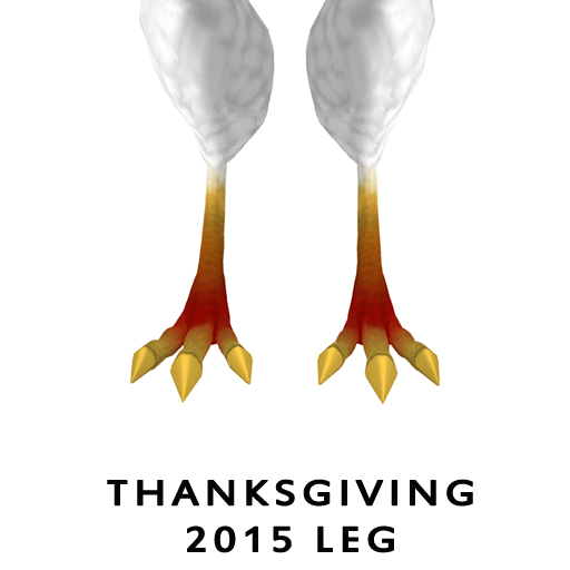 Thanksgiving2015Birdleg