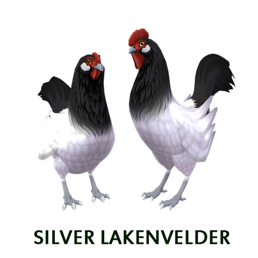 Silver Lakenvelder