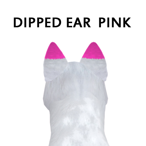 Dipped EarPink