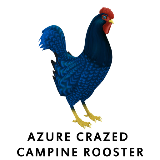 Azure_Crazed_CampineRooster