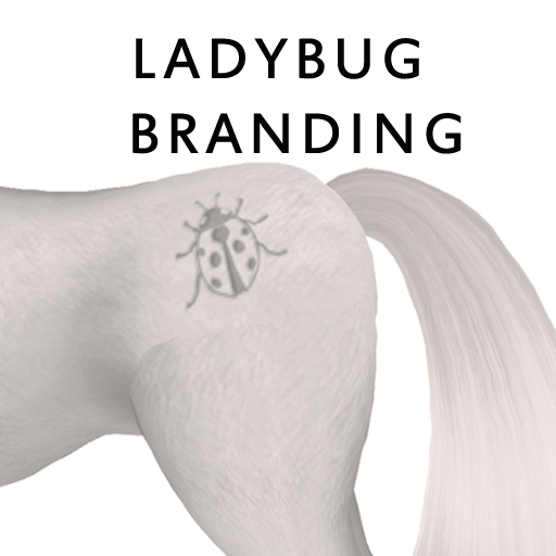 LadybugBranding