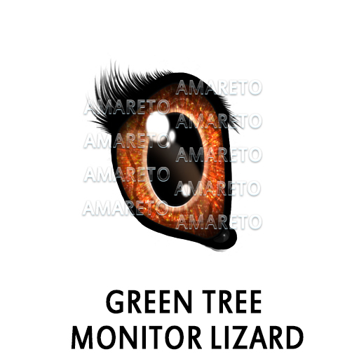 green-tree-monitor-lizard