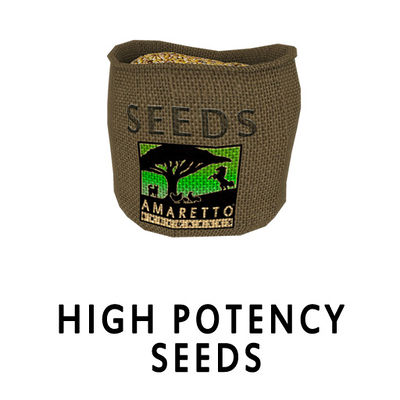 potency-seeds
