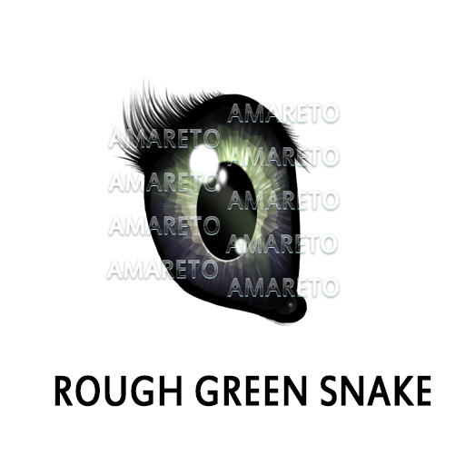 rough-green-snake
