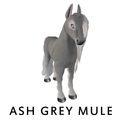 ash_grey_mule
