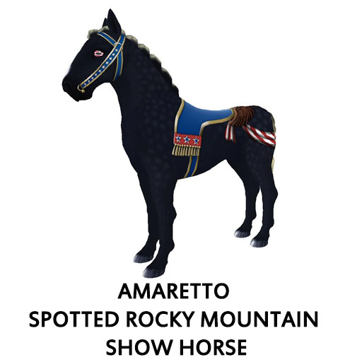 Amaretto Spotted Rocky Mountain Show Horse