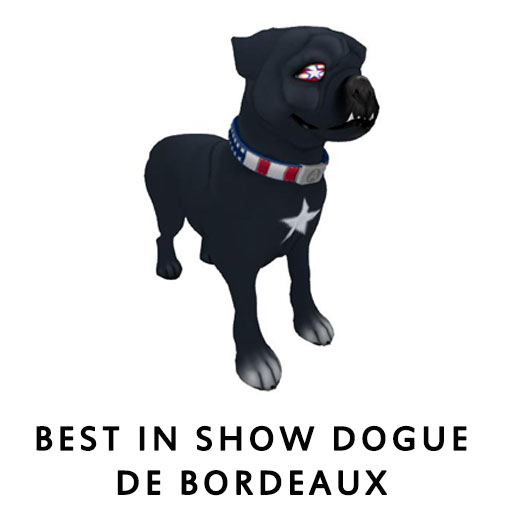 Best in Show Dogue de Bordeaux1