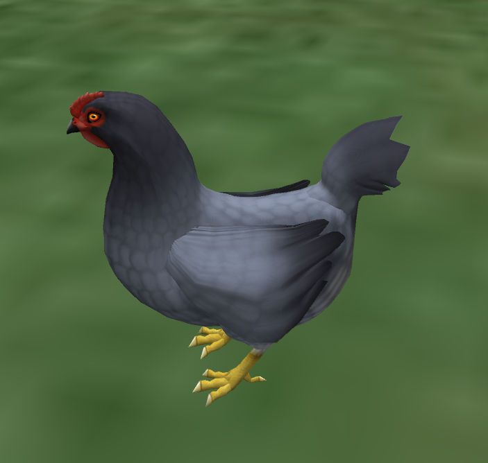 Blue Andalusian Hen 