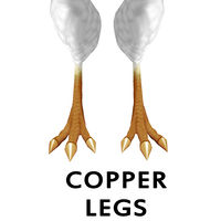 200px-CopperLeg1
