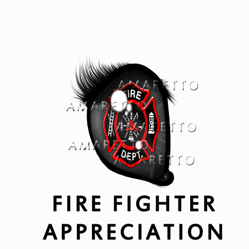 Fire Fighter Appreciationhorses