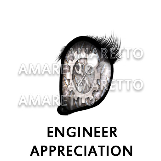 Engineer Appreciation