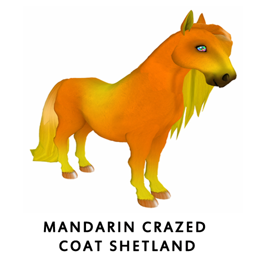 MandarinCrazedShet