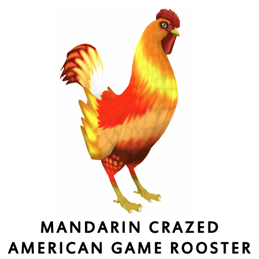 MandarinCrazed_American_Game_Hen