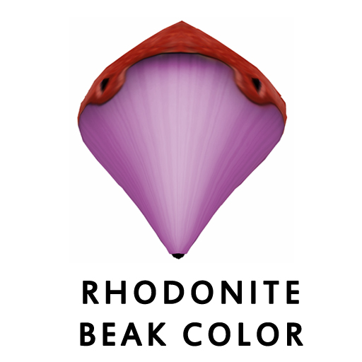 RhodoniteBeak