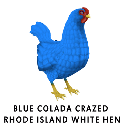 Blue_Colada_Crazed_Rhode_Island_WhiteHen