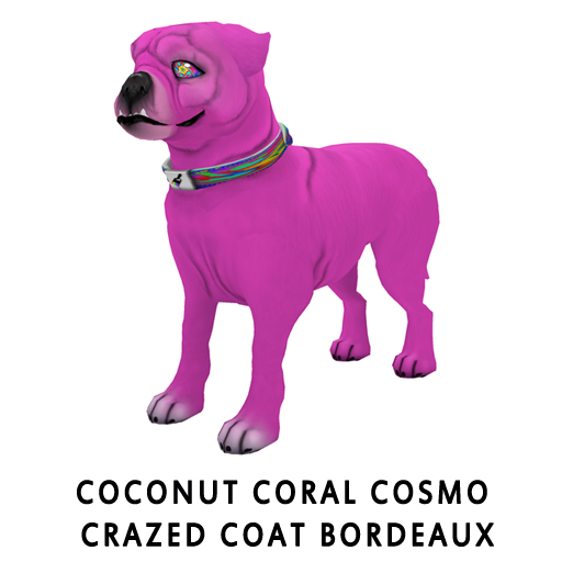 Coconut_Coral_CosmoCrazed_Coat_Bordeaux