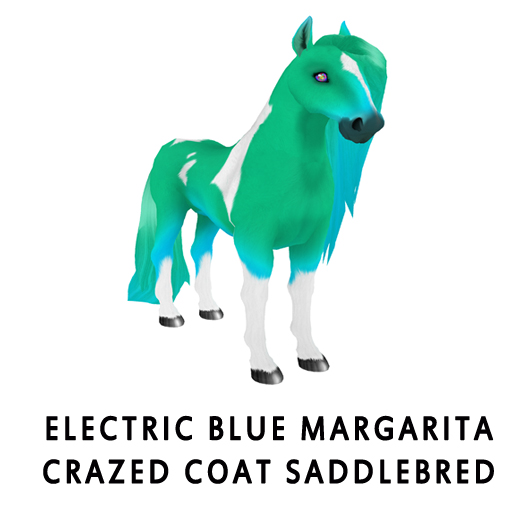 Electric_Blue_MargaritaCrazed_Coat_Saddlebred