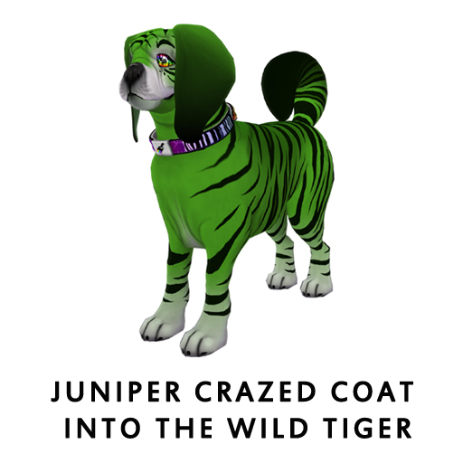 Juniper_Crazed_Coat_Into_The_Wild_Tiger