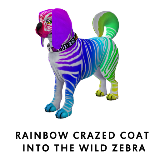 RainbowCrazed_CoatIntothewildZebra