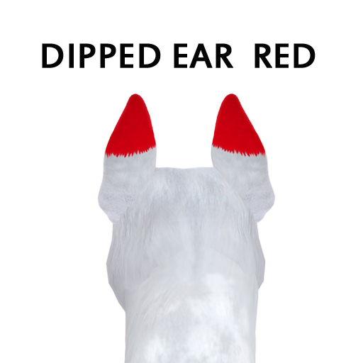 Dipped EarRed