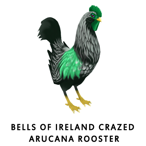 Bells of Ireland Crazed ArucanaRooster