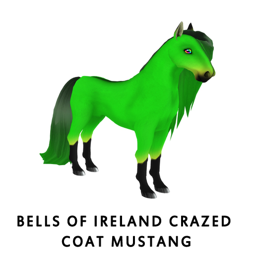 Bells of Ireland Crazed Coat Mustang