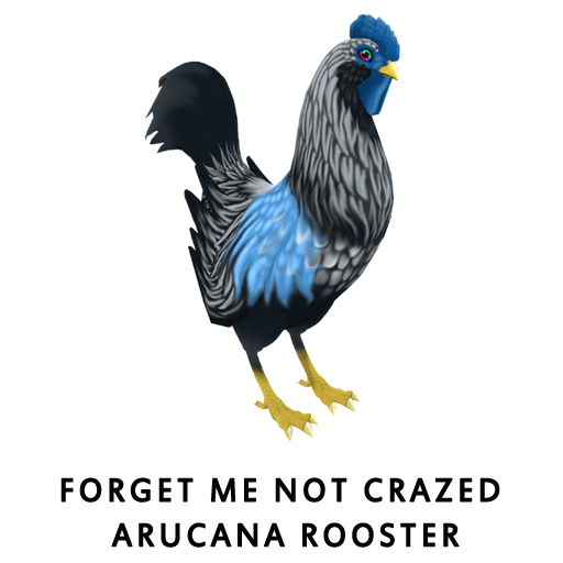 Forget Me Not Crazed ArucanaRooster