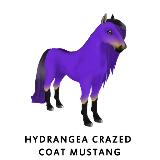 HydrangeaCrazed Coat Mustang