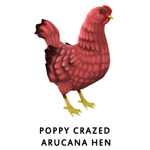 PoppyCrazed ArucanaHen
