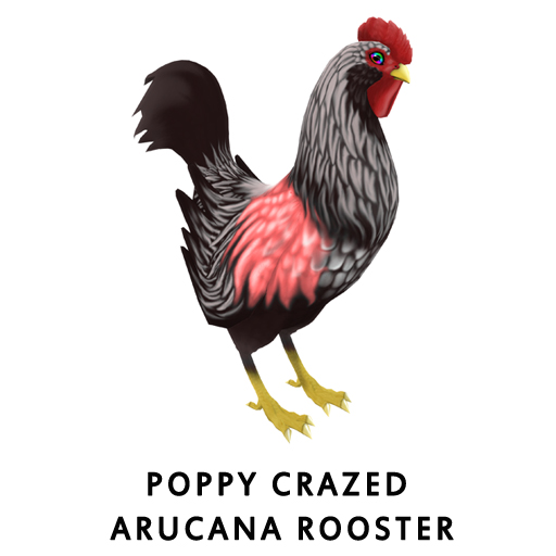 PoppyCrazed ArucanaRooster