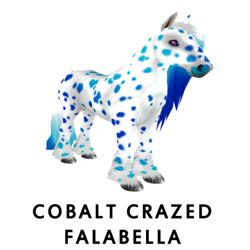 Cobalt_Crazed_Falabella
