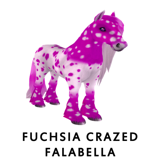 FuchsiaCrazed_Falabella