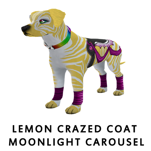 LemonCrazed_Coat_Moonlight_Carousel