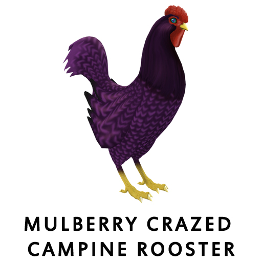 MulberryCrazed_CampineRooster