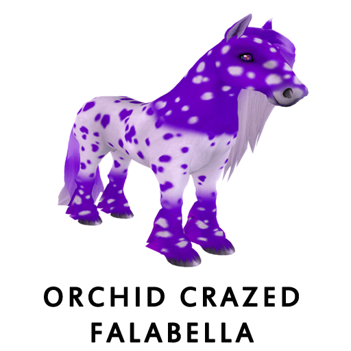 OrchidCrazed_Falabella