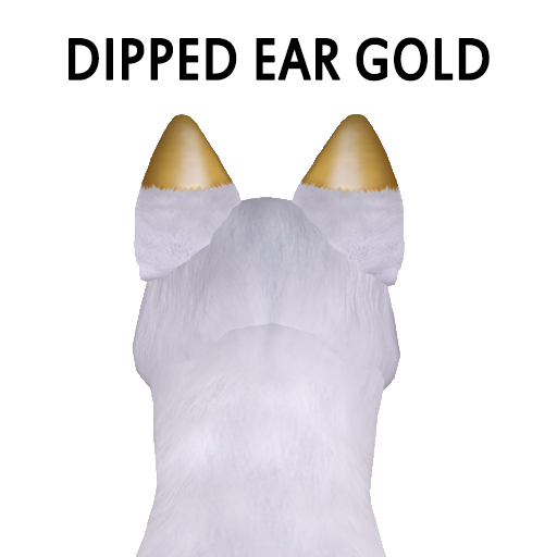 Dipped Ear Gold