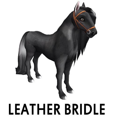 leatherbridle
