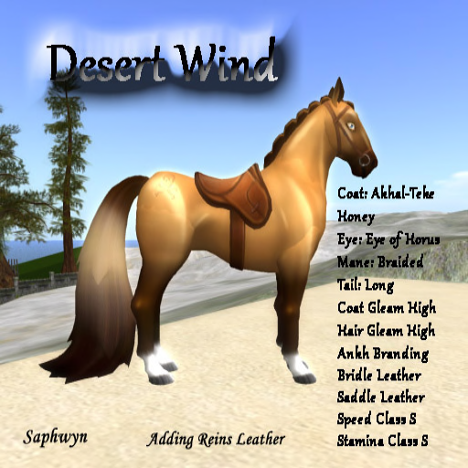 small.675355977_DesertWind.png.d18a26080113304399e2d7b524f78637.png