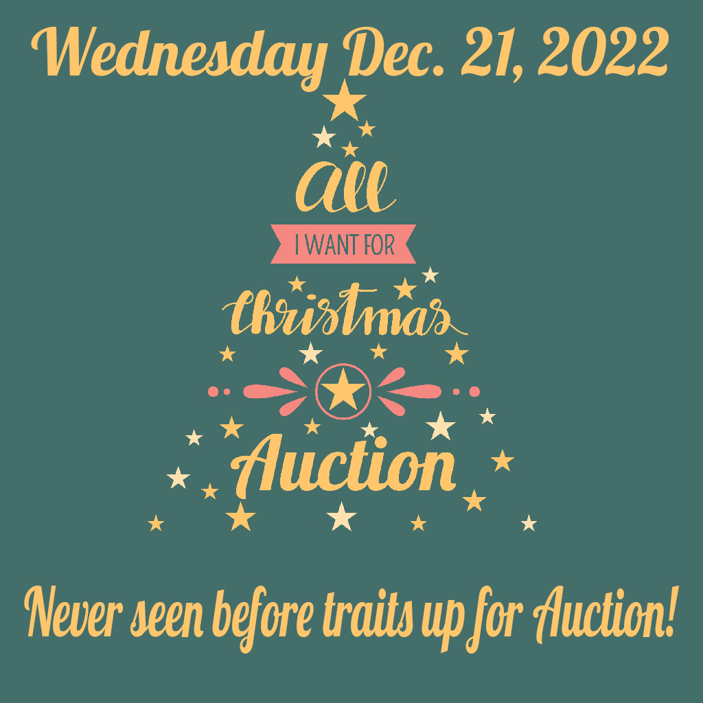 All I want for Christmas Auction!