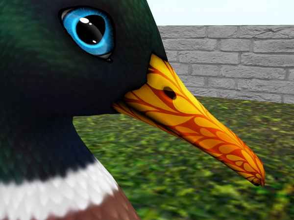 Duck Bill Color: Maple