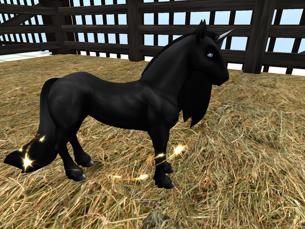 Horse I Dont Know_003.png